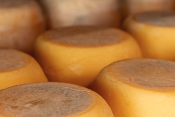 Como Harmonizar Queijo Minas e Canastra com Vinhos?