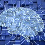 A Relação entre Decisões Rápidas e Eficiência Logística: O que a Neurociência Diz