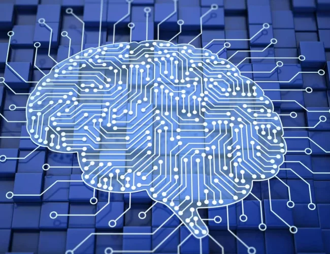 A Relação entre Decisões Rápidas e Eficiência Logística: O que a Neurociência Diz