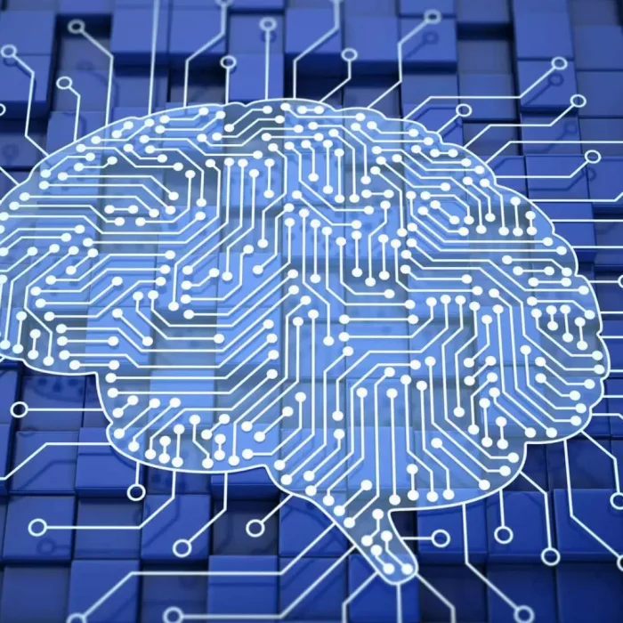 A Relação entre Decisões Rápidas e Eficiência Logística: O que a Neurociência Diz