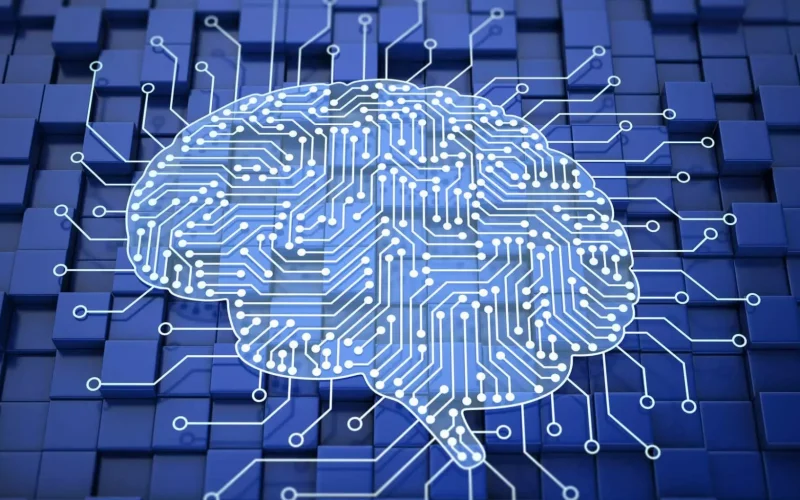 A Relação entre Decisões Rápidas e Eficiência Logística: O que a Neurociência Diz